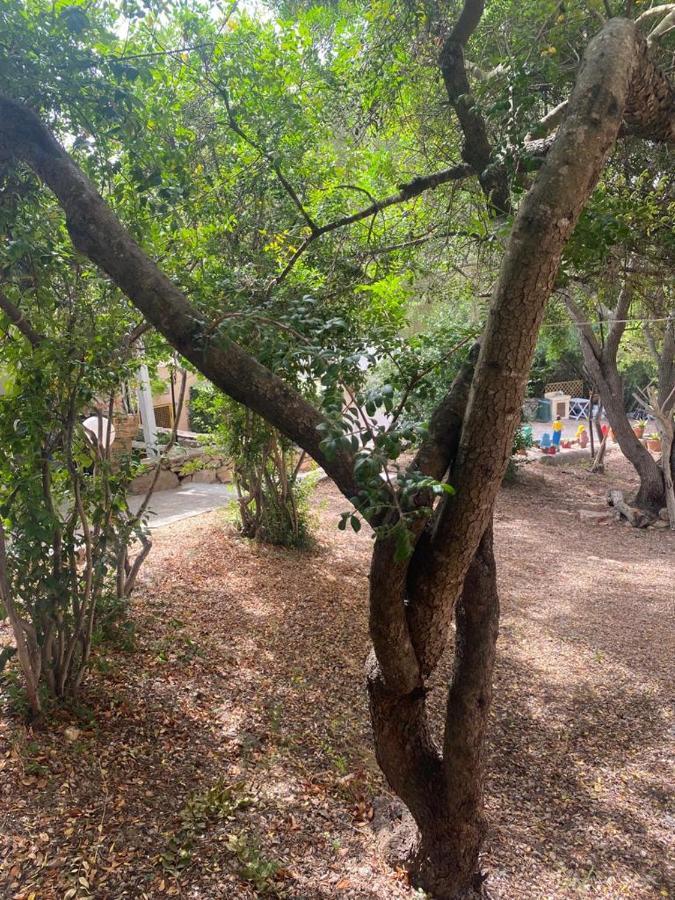 Le Stanze Del Mare Apart otel Golfo Aranci Dış mekan fotoğraf