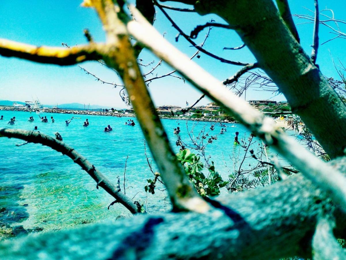 Le Stanze Del Mare Apart otel Golfo Aranci Dış mekan fotoğraf