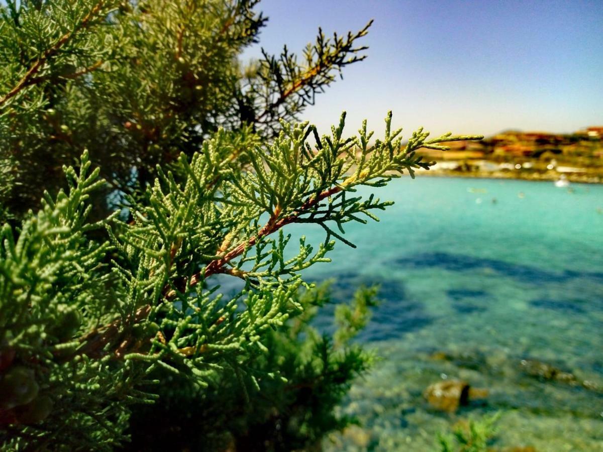 Le Stanze Del Mare Apart otel Golfo Aranci Dış mekan fotoğraf
