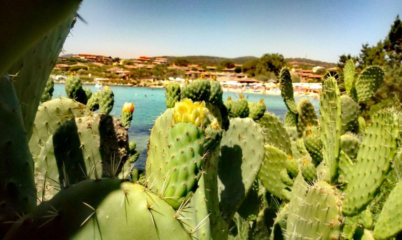 Le Stanze Del Mare Apart otel Golfo Aranci Dış mekan fotoğraf